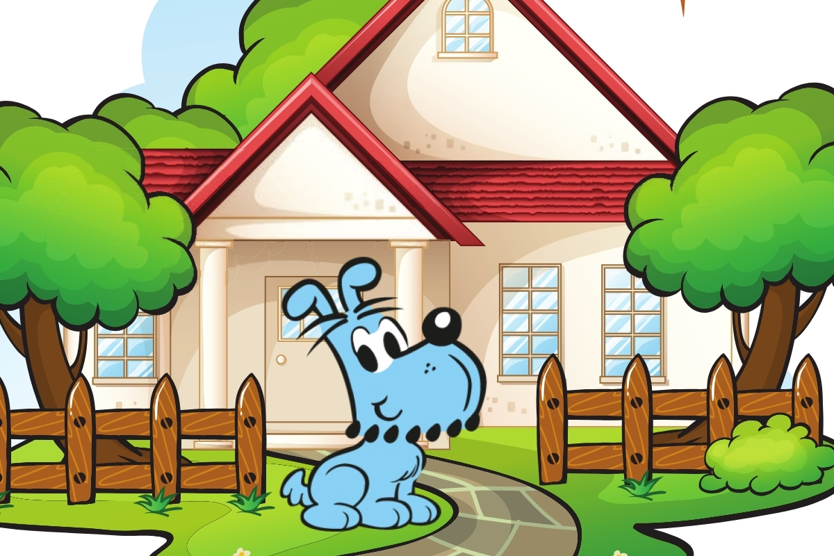 A História do Bidu: A origem de um cãozinho inteligente e amigo